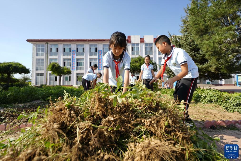 opc客户端